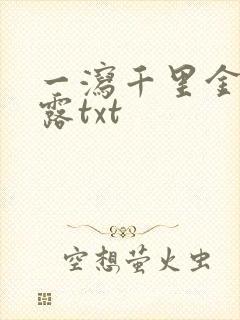 一泻千里金银花露txt