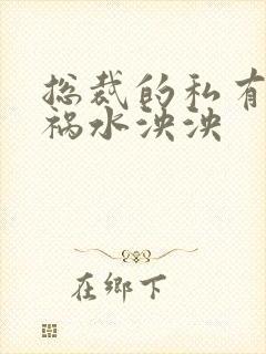 总裁的私有宝贝祸水泱泱