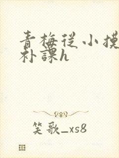 青梅从小摸到大补课h封面