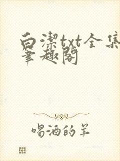 白洁txt全集笔趣阁