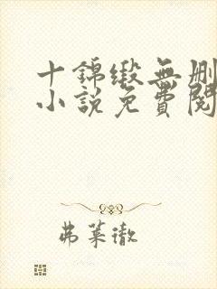 十锦缎无删原著小说免费阅读