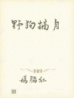 野狗摘月