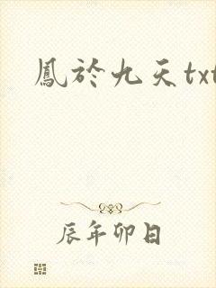凤于九天txt