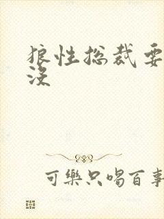 狼性总裁要够了没封面