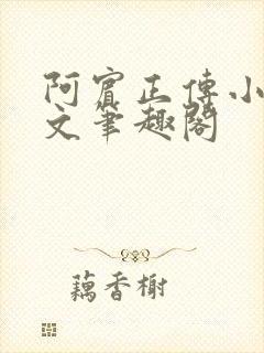 阿宾正传小说全文笔趣阁