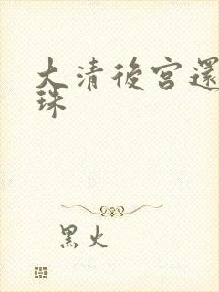 大清后宫还君明珠