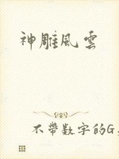 神雕风云