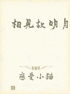 相见故明月封面