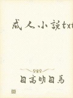 成人小说txt