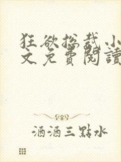 狂欲总裁小说全文免费阅读