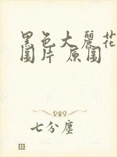 黑色大丽花真实图片 原图