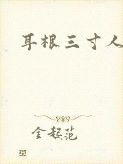 耳根三寸人间封面