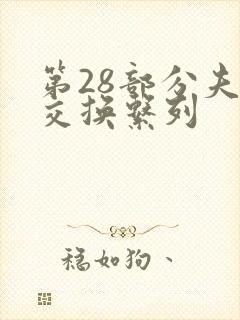 第28部分夫妇交换系列