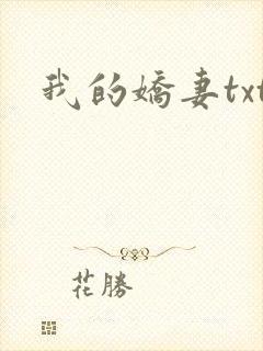 我的娇妻txt