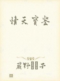 情天宝鉴