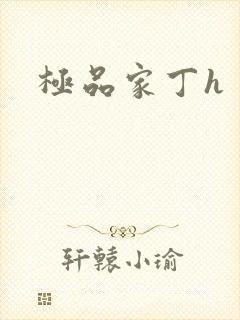 极品家丁h封面