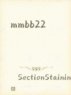 mmbb22