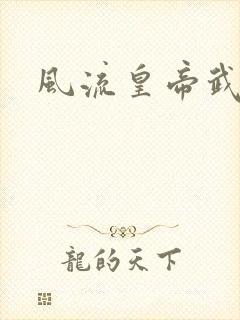 风流皇帝武则天封面