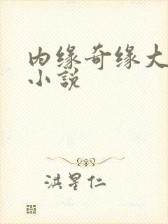 内缘奇缘大团圆小说封面
