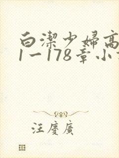 白洁少妇高义第1一178章小说