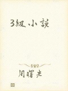 3级小说封面