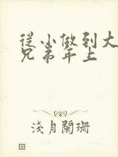 从小做到大骨科兄弟年上封面