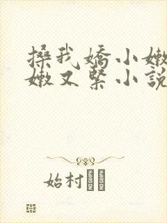 搡我娇小嫩苞又嫩又紧小说