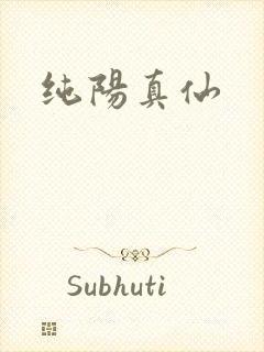 纯阳真仙