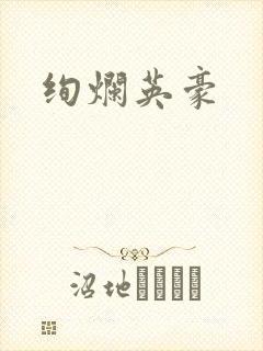 绚烂英豪封面