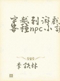 穿越到游戏里和各种npc小说