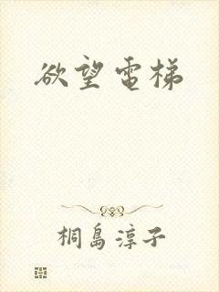 欲望电梯封面