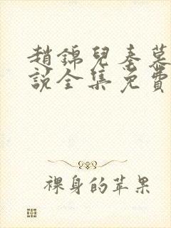 赵锦儿秦慕修小说全集免费