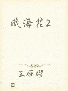 藏海花2封面
