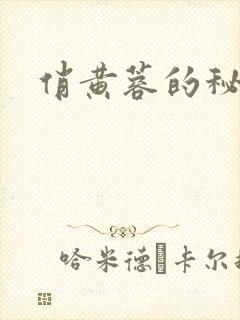 俏黄蓉的秘密封面