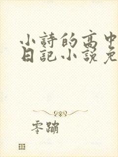 小诗的高中成长日记小说免费阅读封面