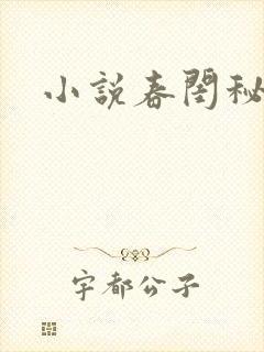 小说春闺秘史