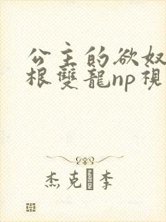 公主的欲奴h四根双龙np视频