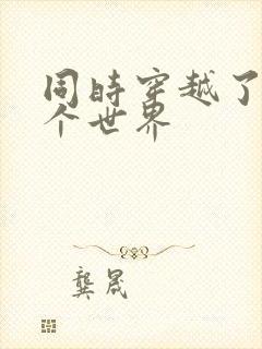 同时穿越了99个世界封面