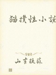 猫扑性小说