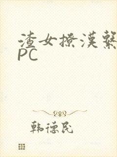 渣女撩汉系统NPC封面