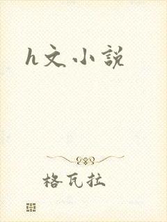 h文小说封面