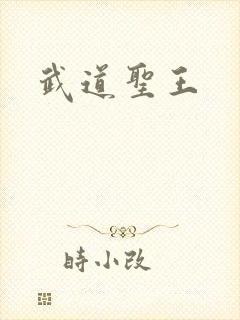 武道圣王