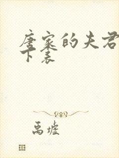 唐家的夫君们帘下衾封面