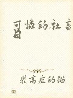 可怜的社畜东度日