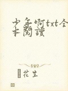 少年啊txt全本阅读
