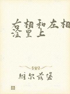 右相和左相一起淦皇上