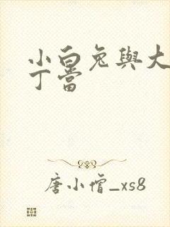 小白兔与大灰狼丁当