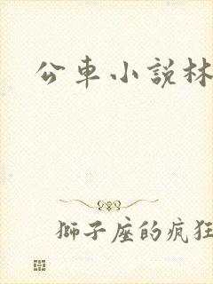 公车小说林蔓蔓