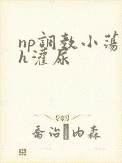 np调教小荡货h灌尿封面