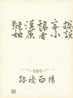 糙汉租客总是吵她原著小说封面